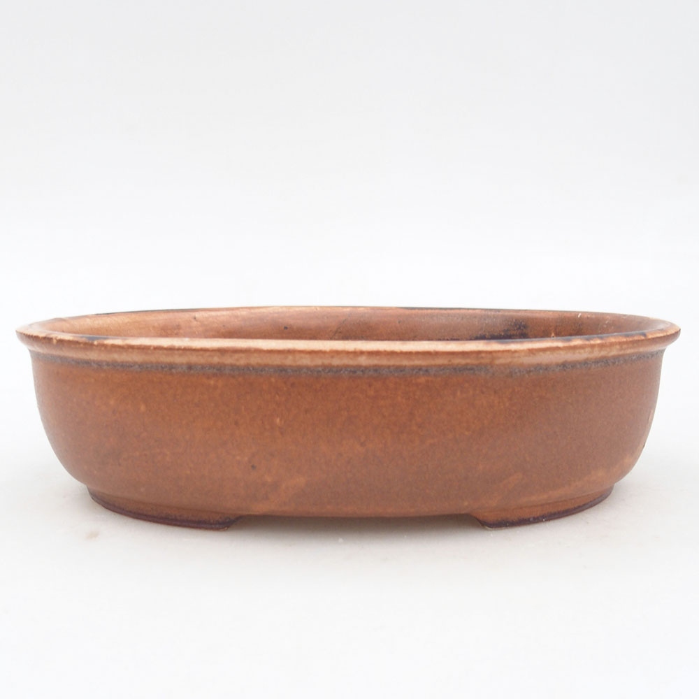 Bol à bonsaï en céramique 19 x 14 x 5 cm, brun