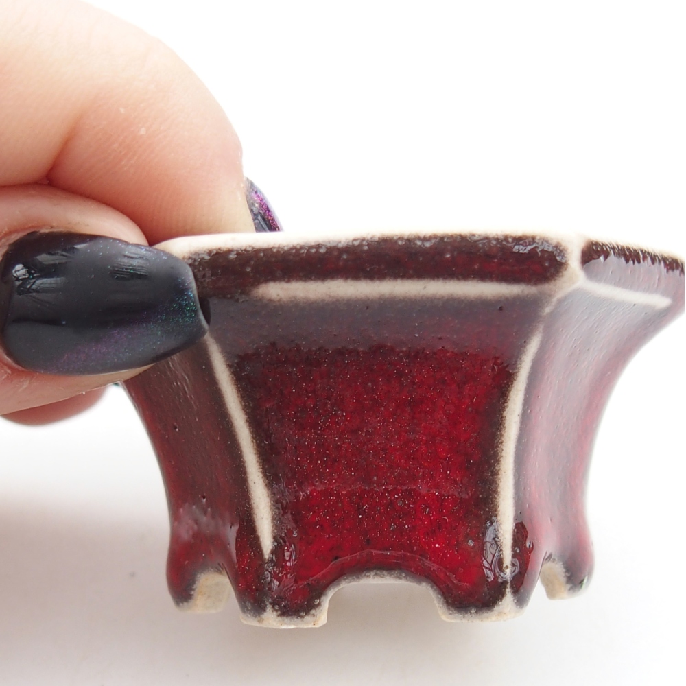 Mini bol bonsaï 5,5 x 5 x 3 cm, couleur rouge