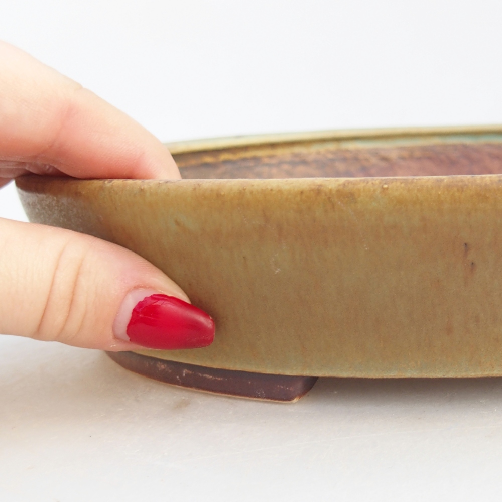 Bol à bonsaï en céramique 23 x 20 x 4,5 cm, vert