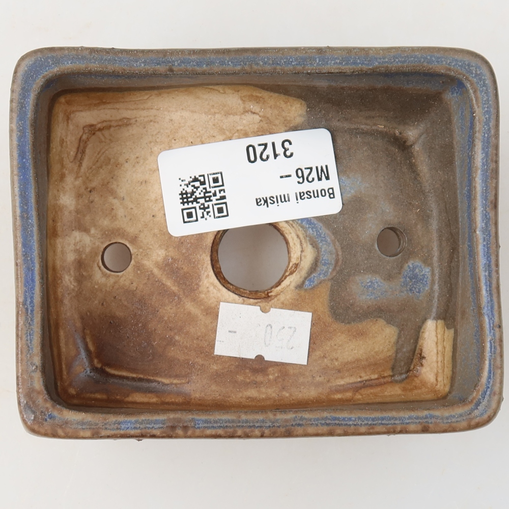 Pot à bonsaï en céramique 10 x 8 x 4 cm, couleur bleue