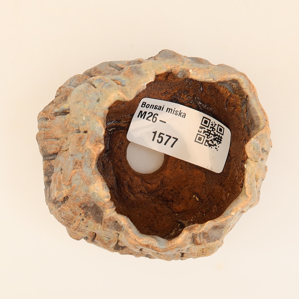 Coquille en céramique  5,5 x 5 x 6 cm , couleur bleue