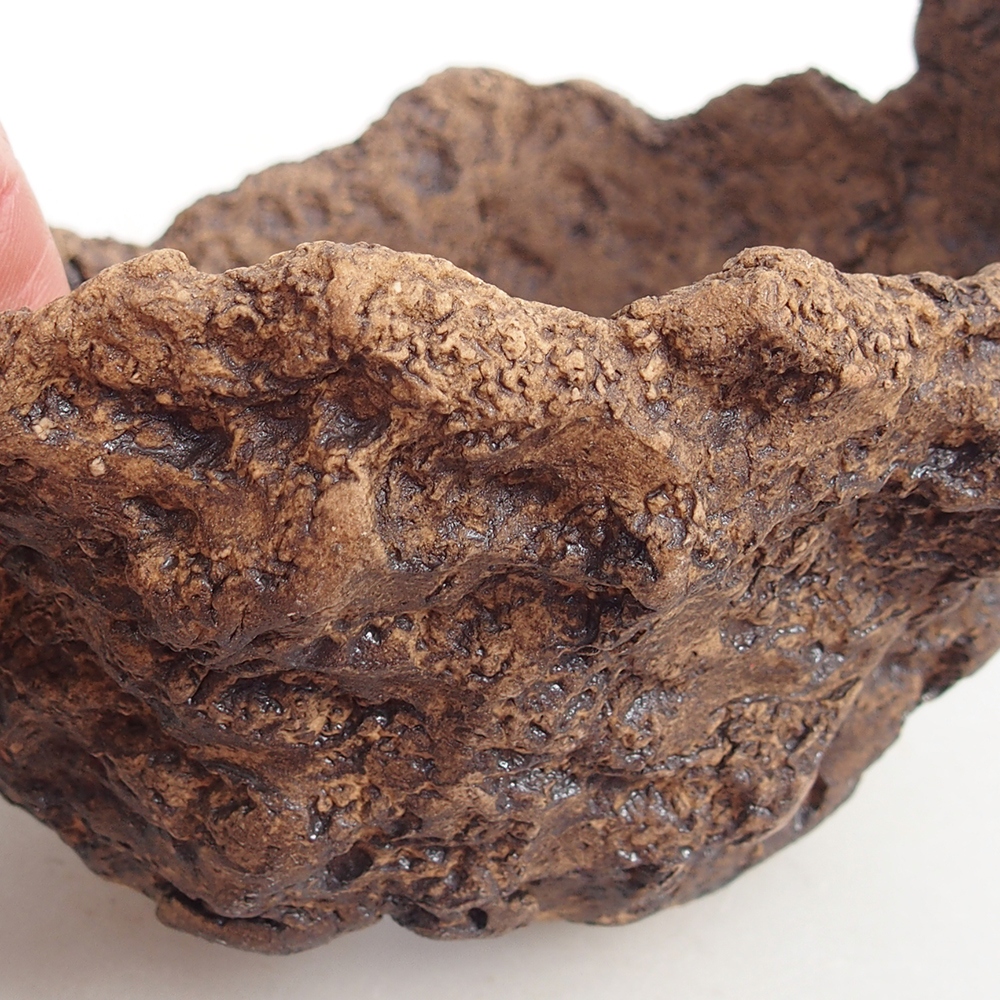 Coquille en céramique 13,5 x 12 x 11,5 cm , couleur marron