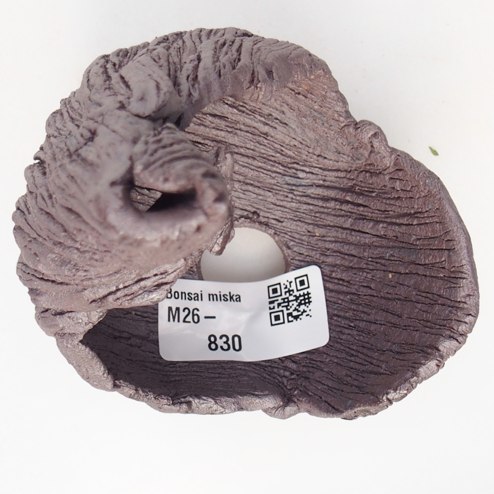 Coquille en céramique 8 x 9 x 12,5 cm , couleur métallique