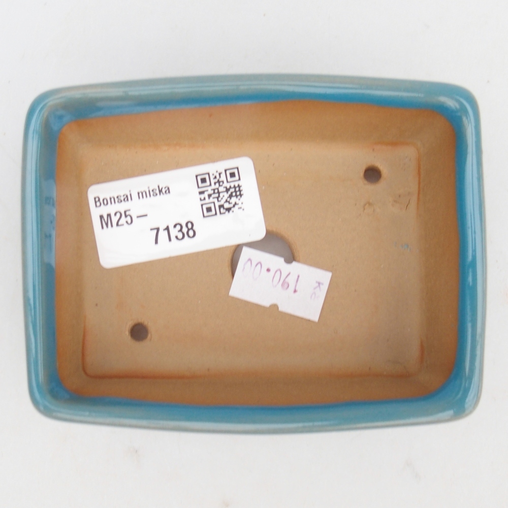 Bol à bonsaï en céramique 9,5 x 7 x 3,5 cm, couleur bleu