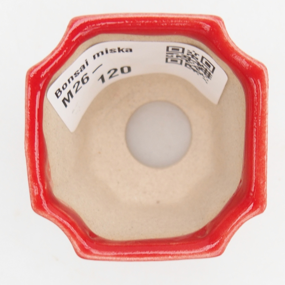 Mini bol bonsaï 4,5 x 4,5 x 4 cm, couleur rouge