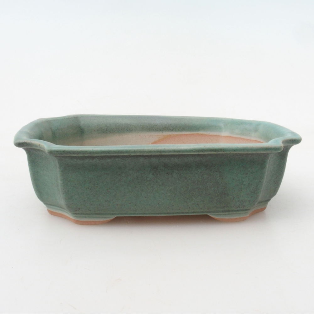 Bol pour bonsaï H03 - 16,5 x 12 x 4,5 cm - vert
