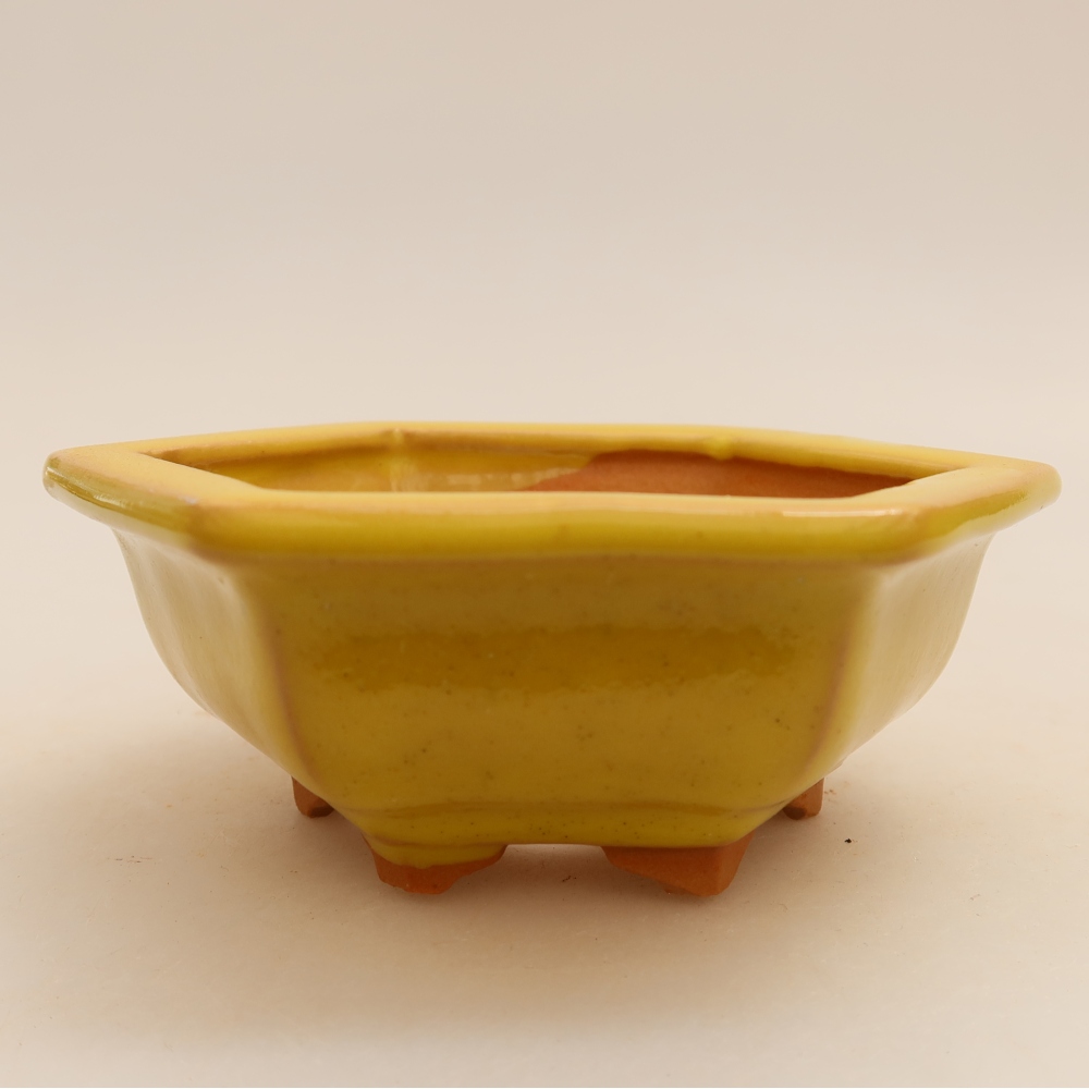 Pot à bonsaï en céramique 12 x 10,5 x 4 cm, couleur jaune