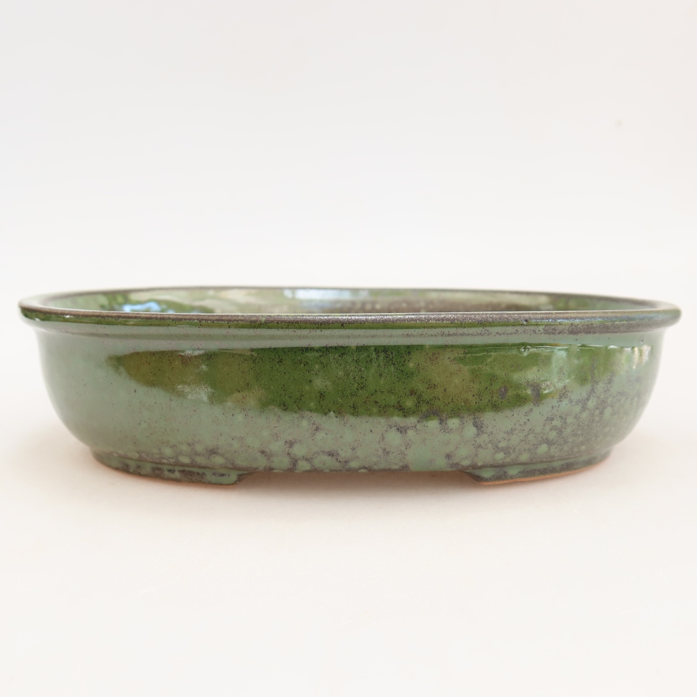 Bol à bonsaï en céramique 22 x 17 x 5 cm, vert