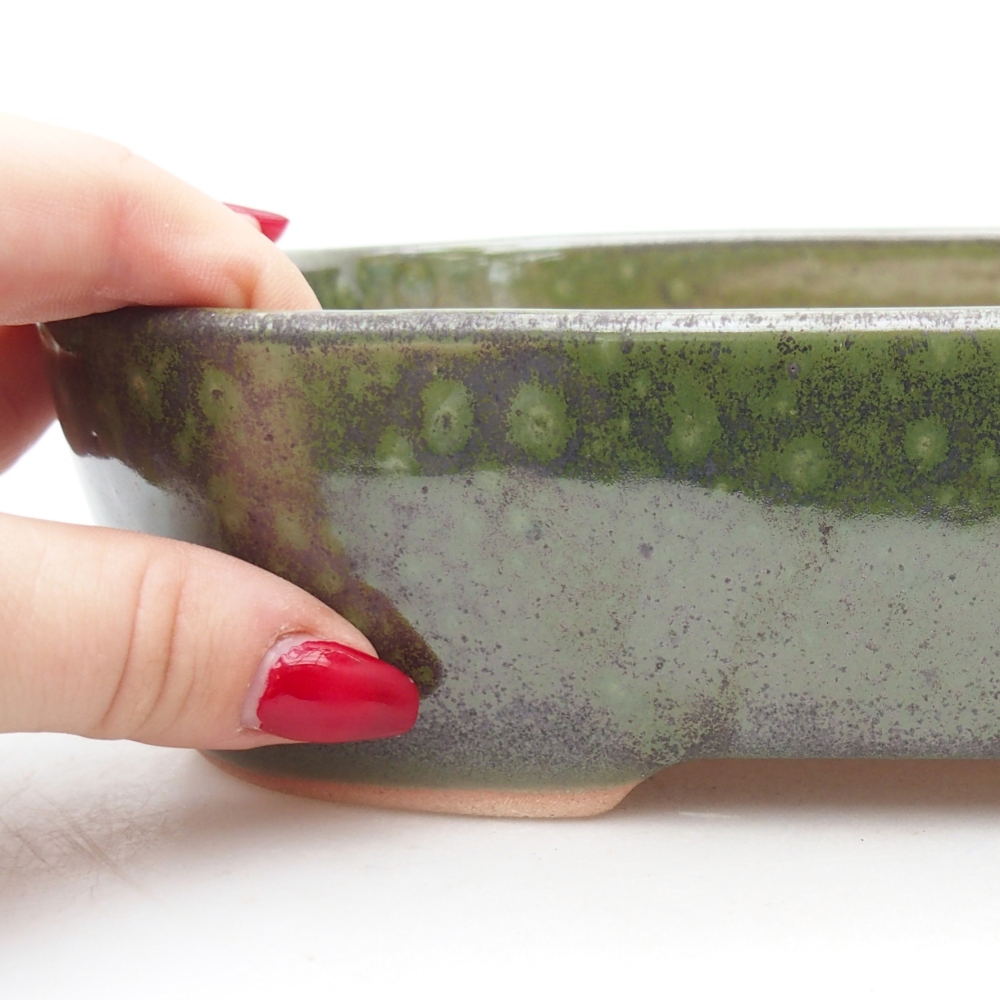 Bol à bonsaï en céramique 22,5 x 17 x 6 cm, vert