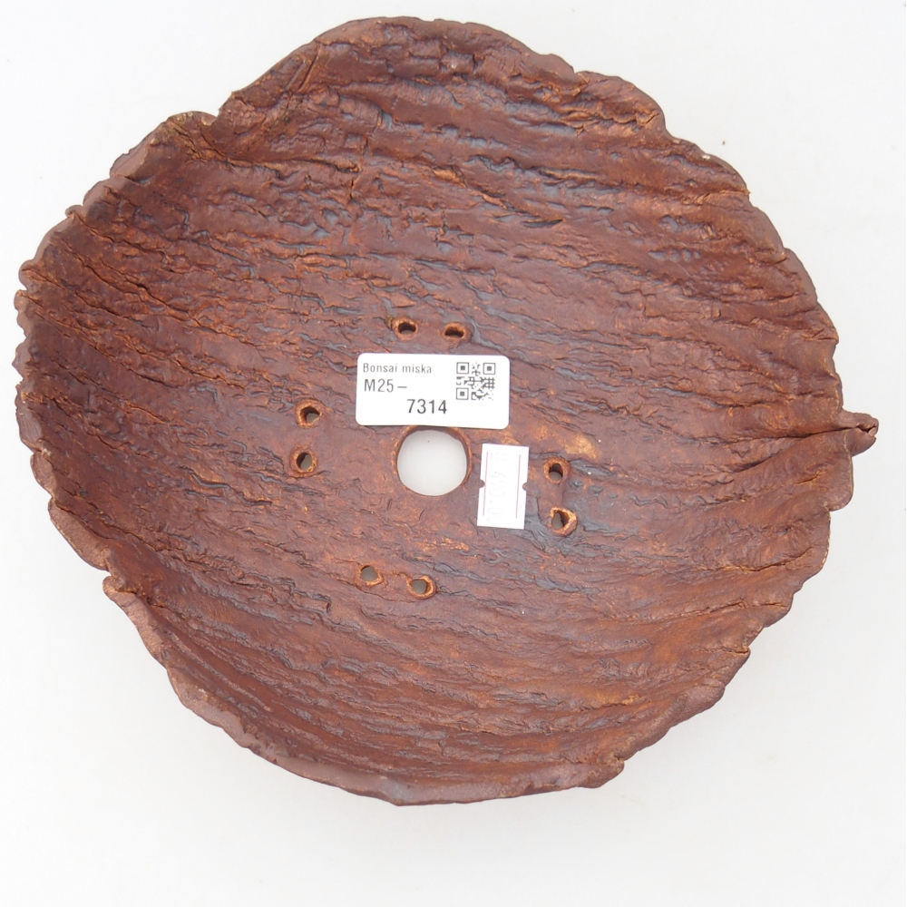 Coquille en céramique 19 x 19 x 6,5 cm , couleur marron