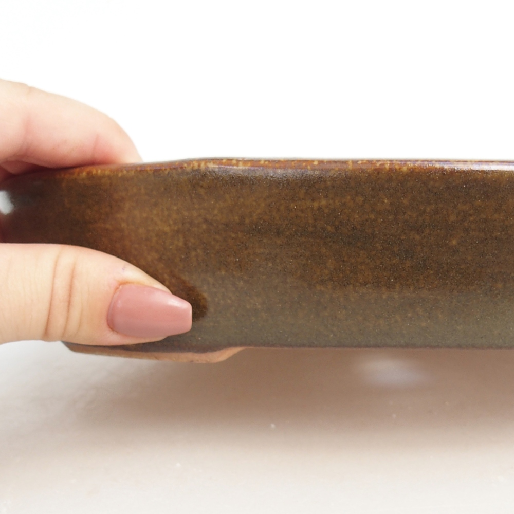 Bol à bonsaï en céramique 22 x 17 x 4 cm, brun