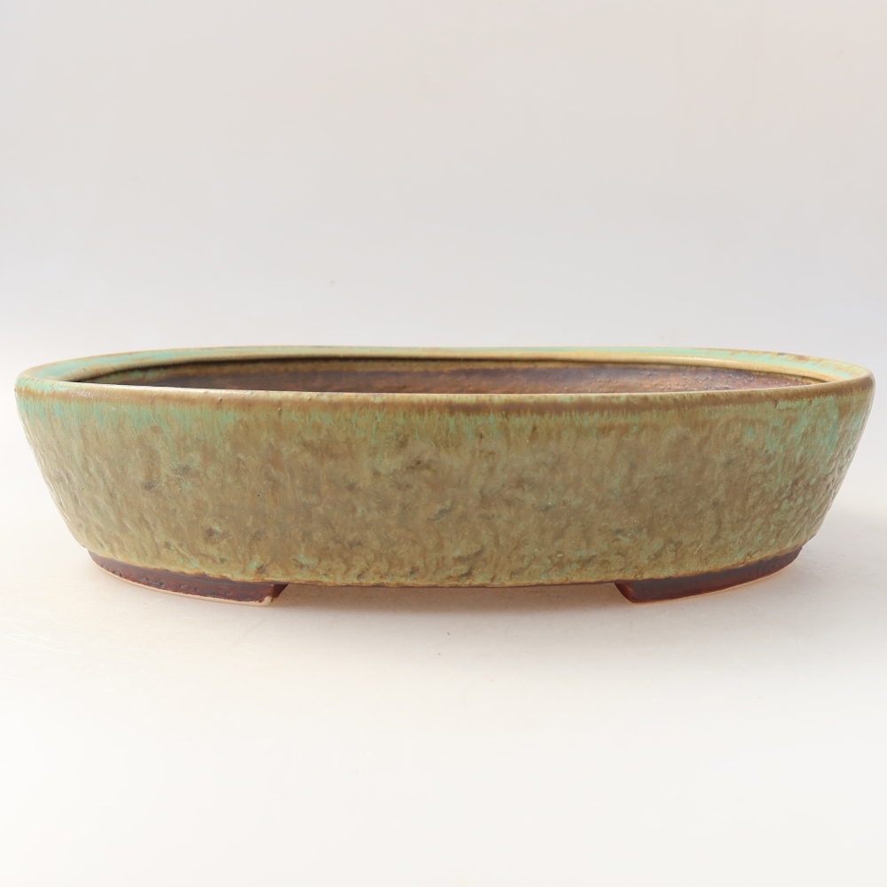 Bol à bonsaï en céramique 27 x 24 x 6 cm, vert