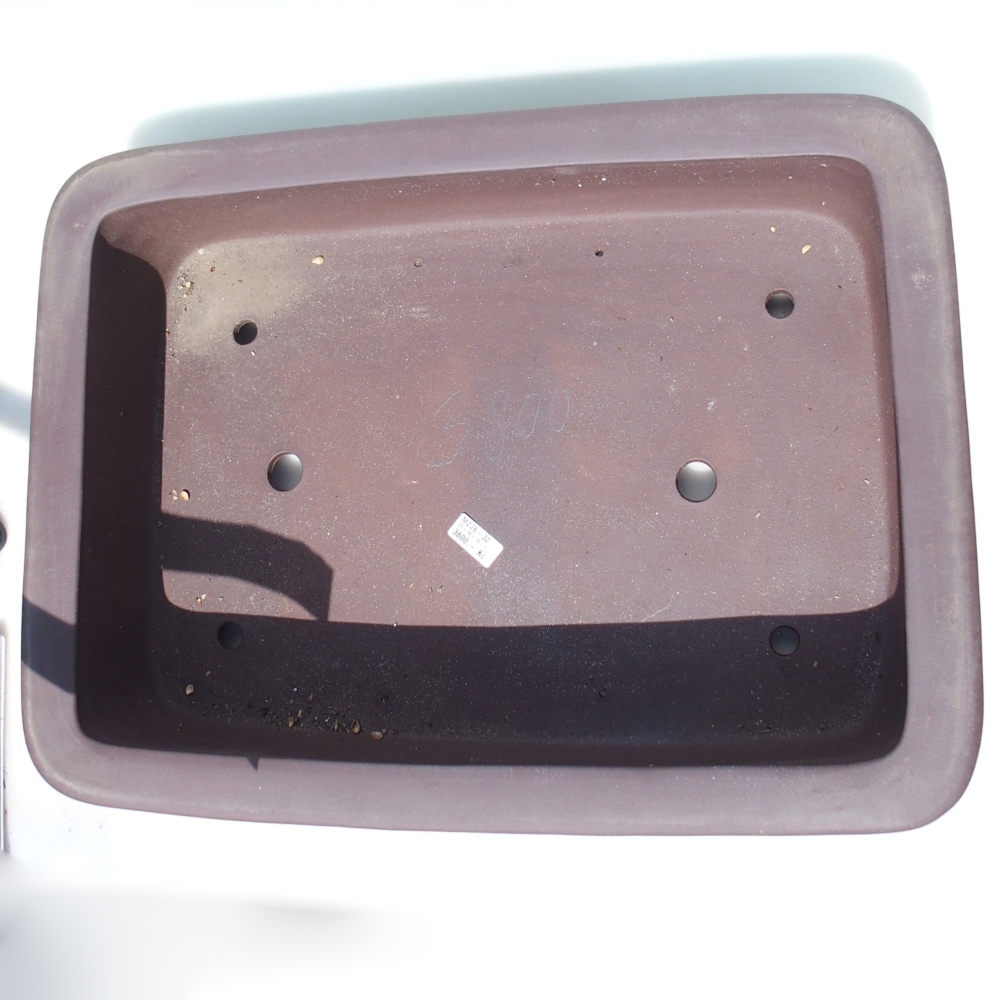 Bol pour bonsaï 65 x 48 x 16 cm - brun