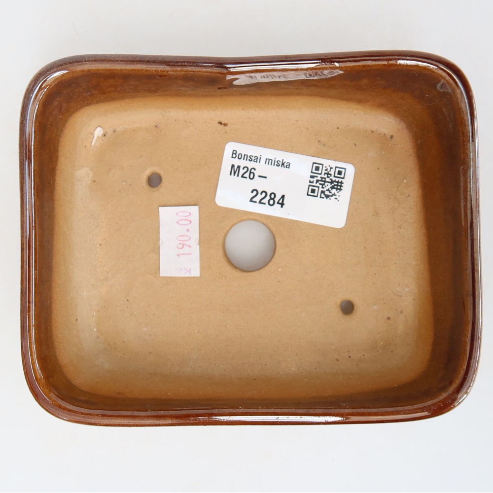 Pot à bonsaï en céramique 12,5 x 9,5 x 4 cm, couleur marron