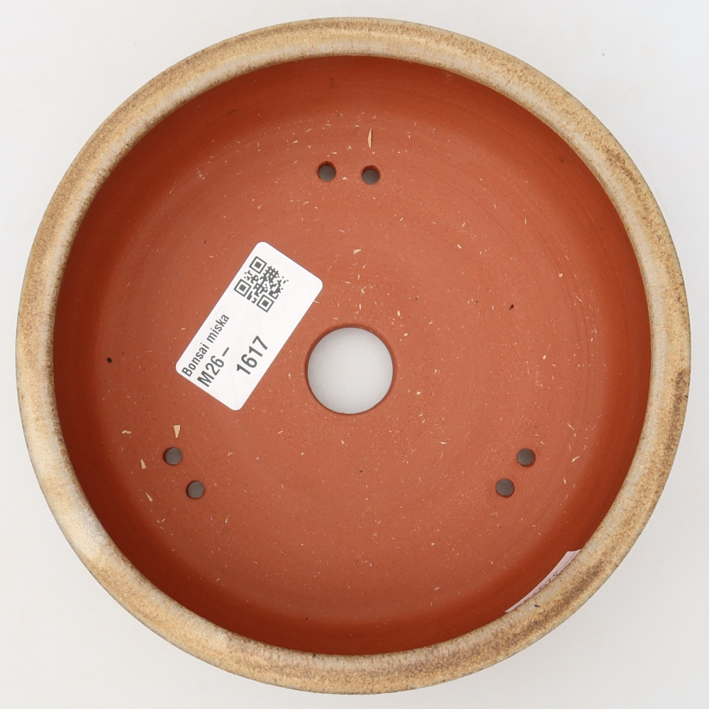 Pot à bonsaï en céramique 15,5 x 15,5 x 4,5 cm, couleur marron