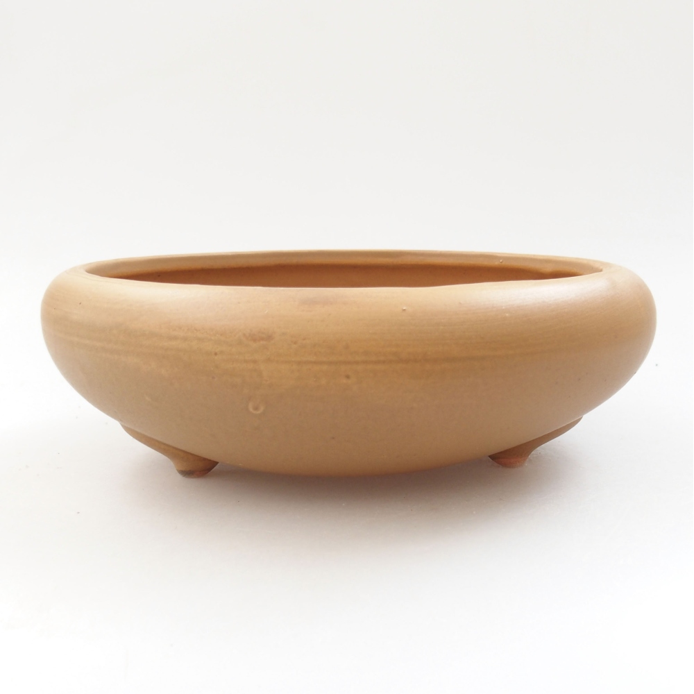 Bol à bonsaï en céramique 21 x 21 x 7,5 cm, couleur beige