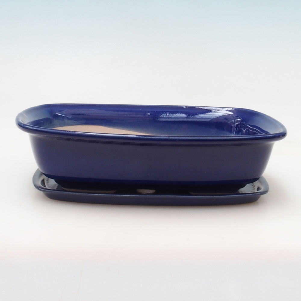 Bol Bonsaï + soucoupe H08 - 25 x 19,5 x 6 cm - bleu