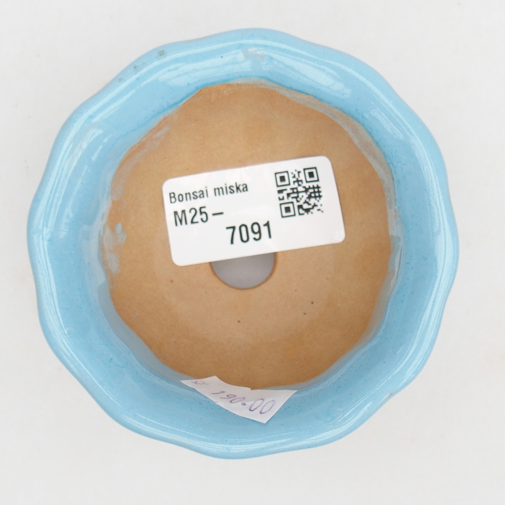 Bol à bonsaï en céramique 8,5 x 8,5 x 4,5 cm, couleur bleu