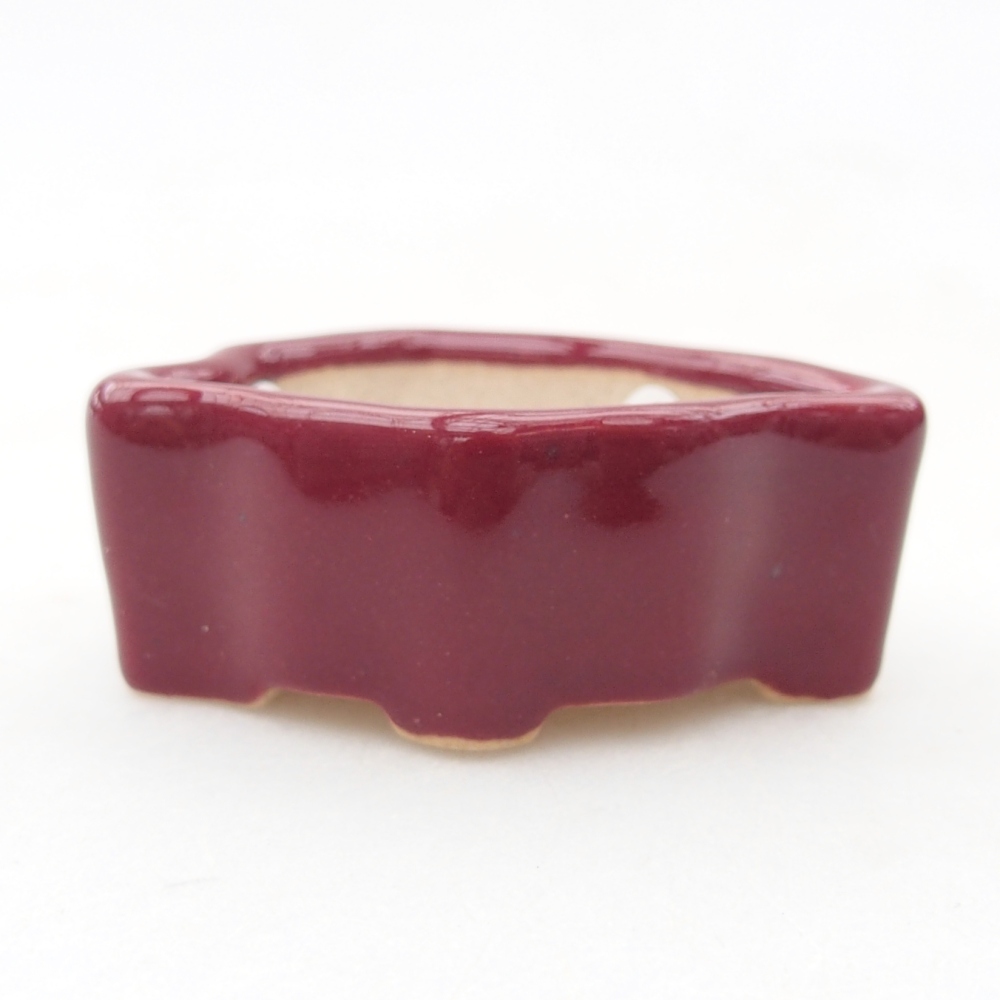 Mini bol bonsaï 5 x 3 x 2 cm, bordeaux
