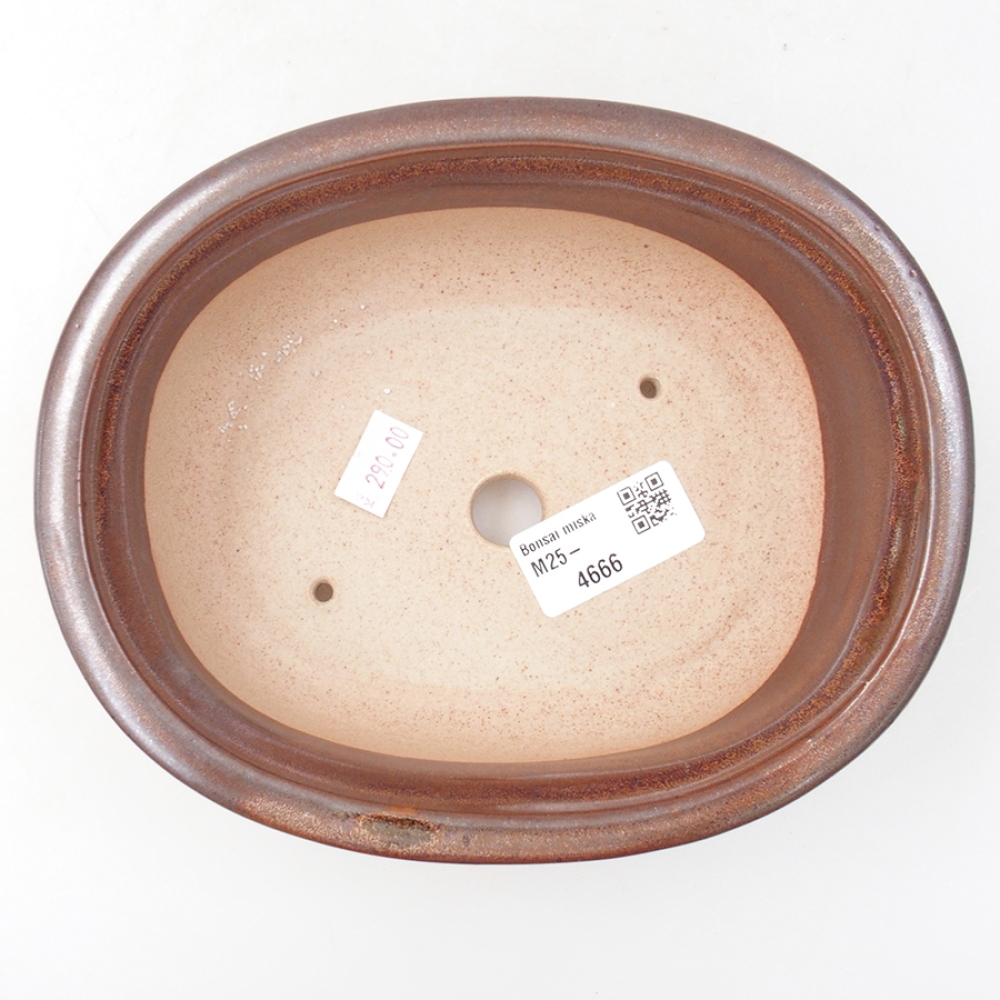Bol à bonsaï en céramique 18 x 14,5 x 6 cm, brun