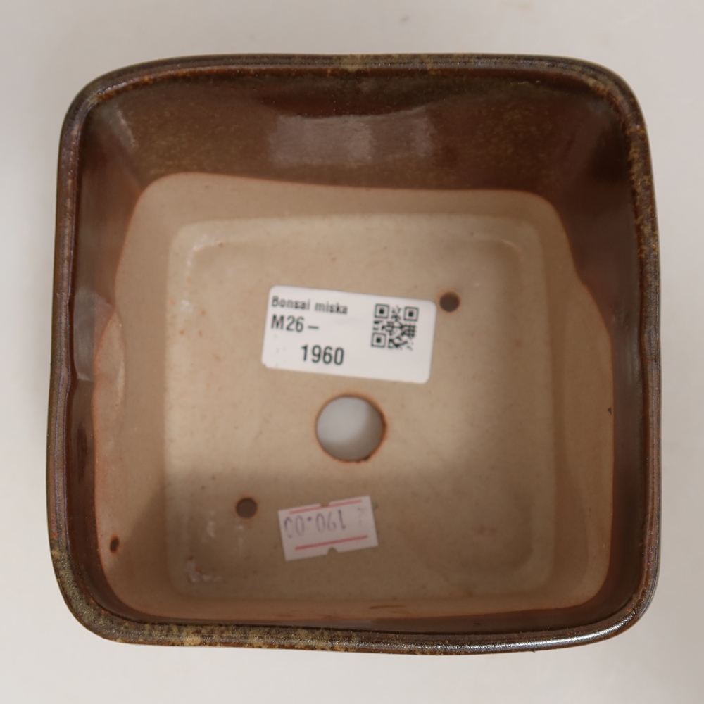 Pot à bonsaï en céramique 10 x 10 x 8,5 cm, couleur marron