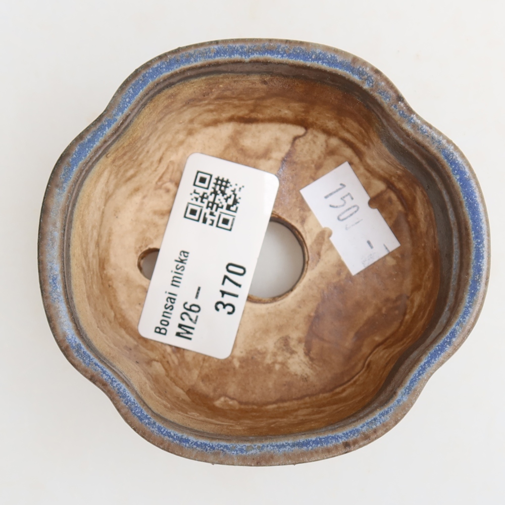 Pot à bonsaï en céramique 8 x 7,5 x 3,5 cm, couleur bleue