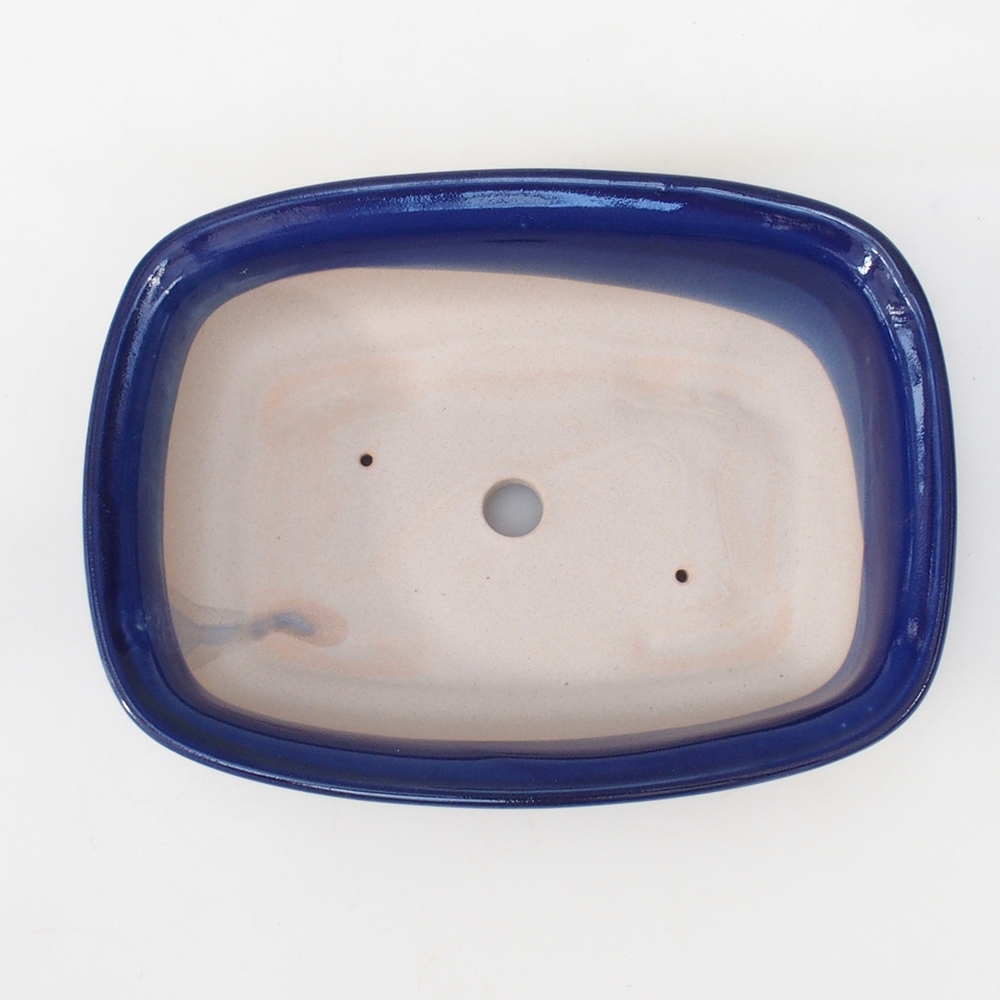 Coupe bonsaï H08 - 25 x 19,5 x 6 cm - bleu