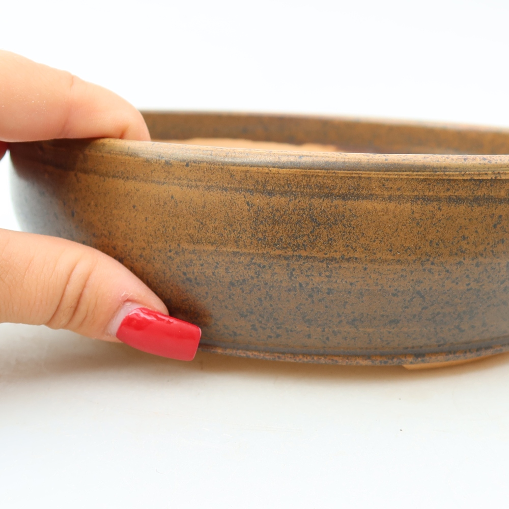 Pot à bonsaï en céramique 19 x 19 x 5,5 cm, couleur marron