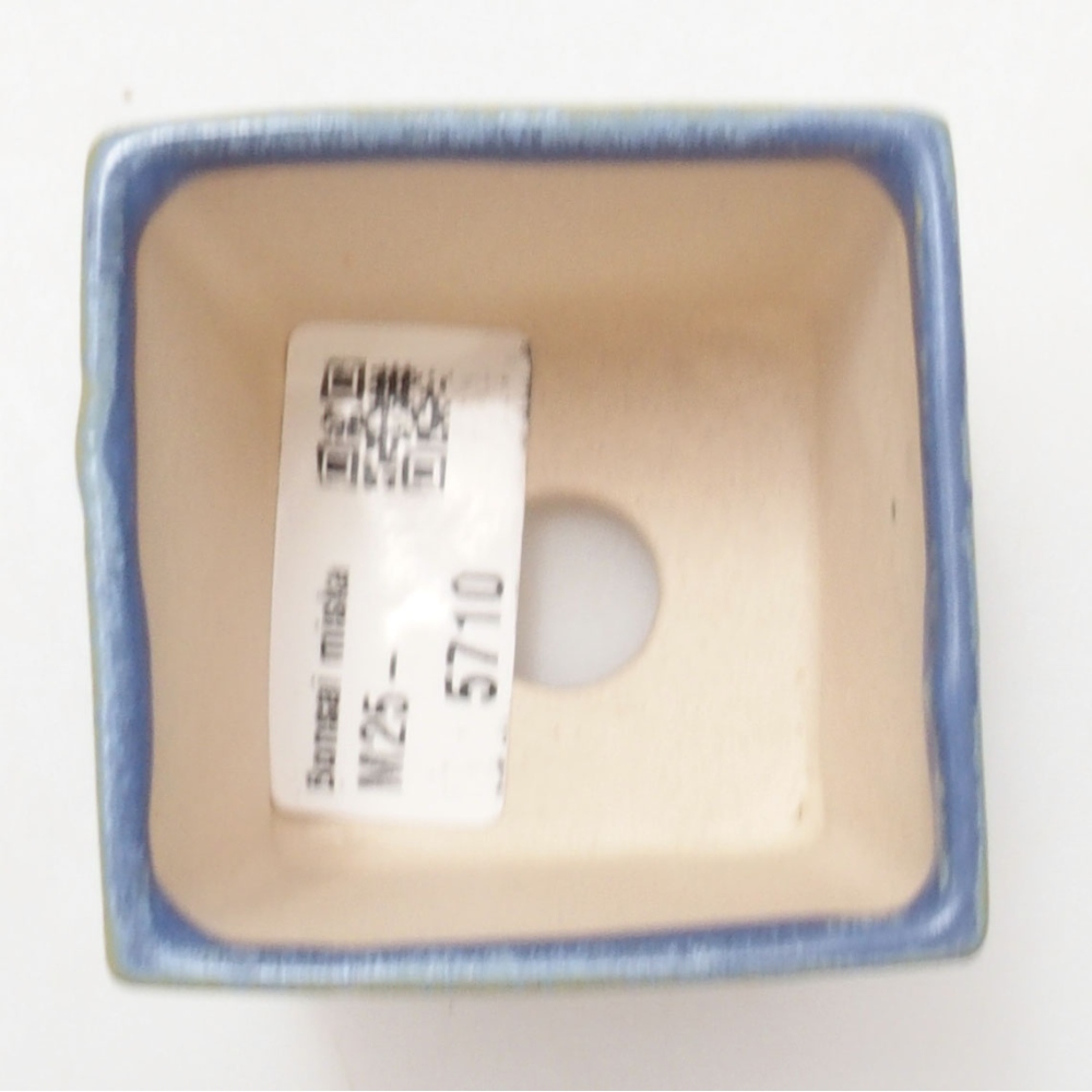 Mini bol bonsaï 5,5 x 5,5 x 6,5 cm, couleur bleu