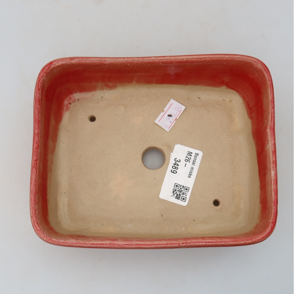 Pot à bonsaï en céramique 15 x 12,5 x 4,5 cm, couleur rouge