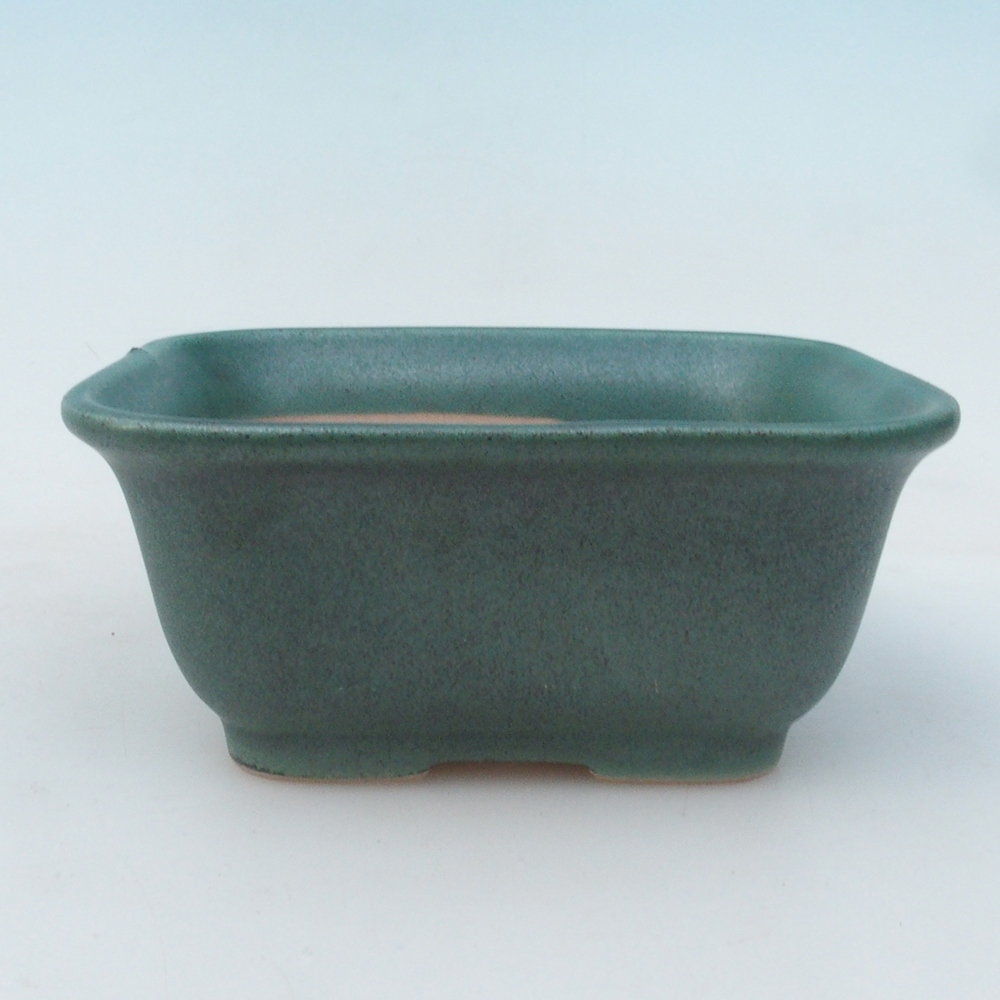 Bol bonsaï + soucoupe H38 - 12x10x5,5 cm - vert