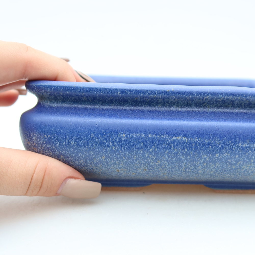 Bol à bonsaï en céramique 15,5 x 15,5 x 6 cm, couleur bleu