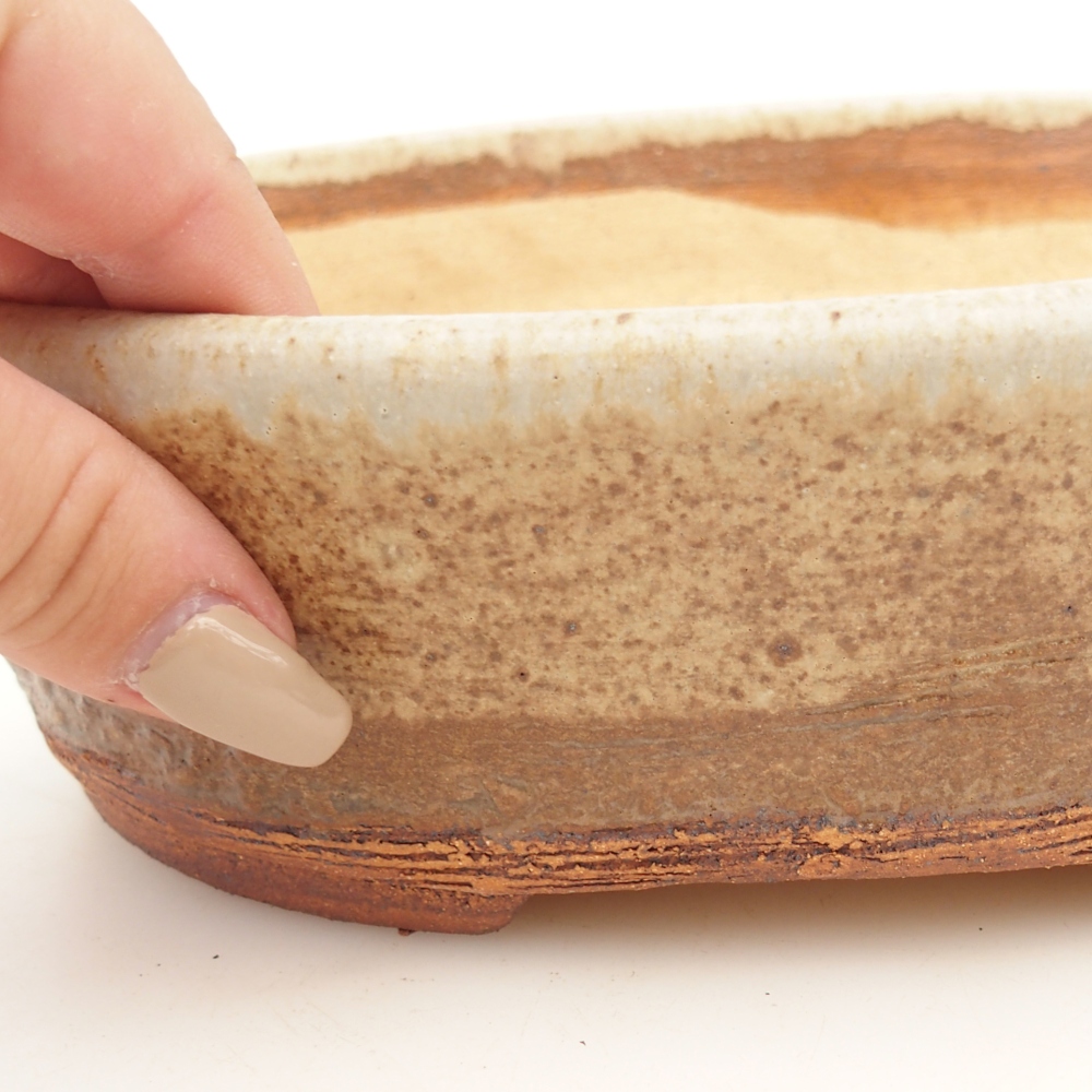Bol bonsaï 20 x 16 x 6,5 cm , couleur beige