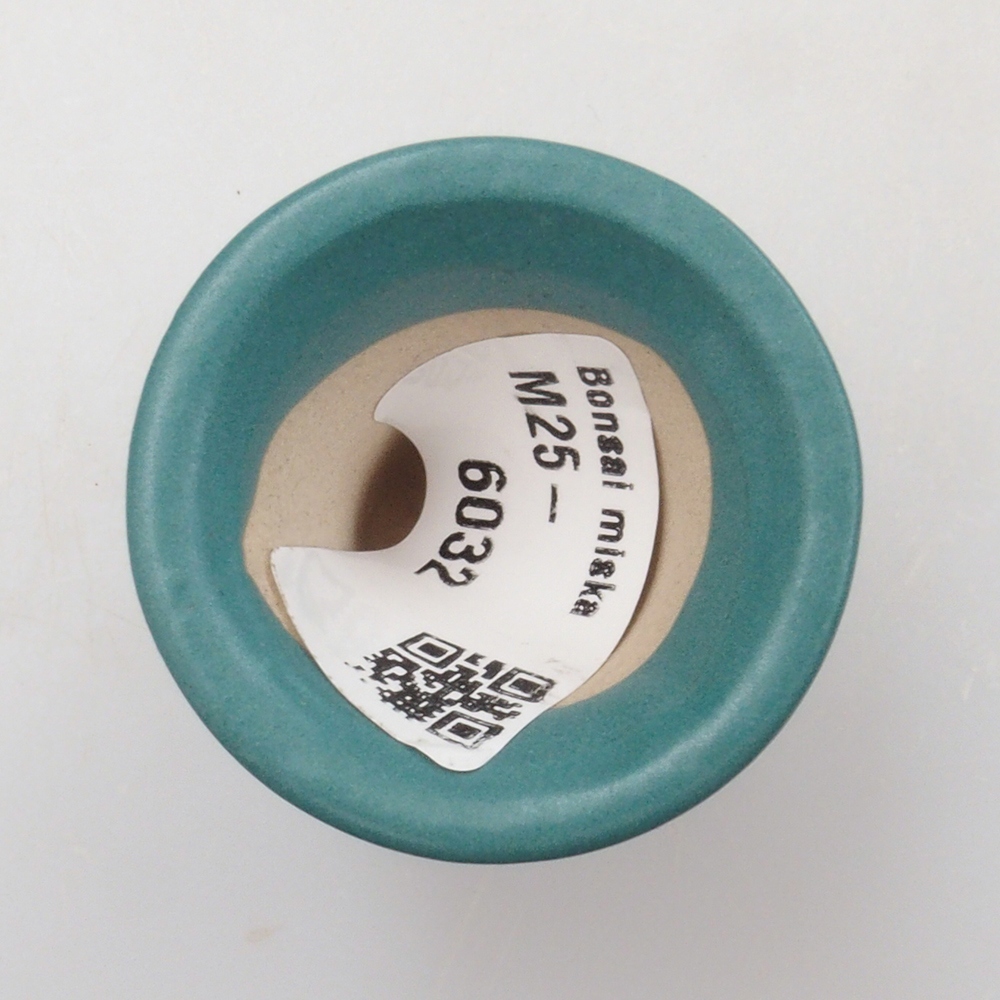 Bol à bonsaï en céramique 6,5 x 5,5 x 4 cm, couleur bleu