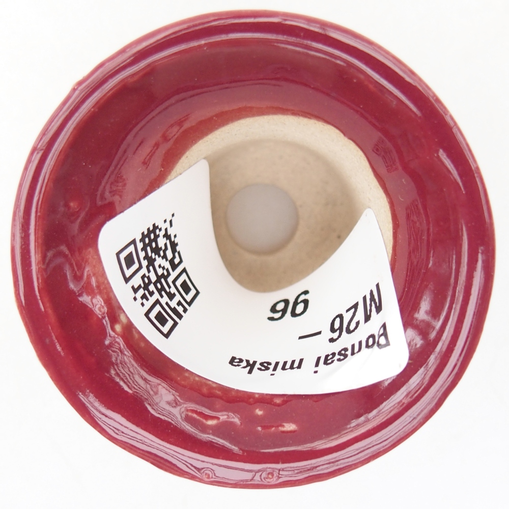 Mini bol bonsaï 4,5 x 4,5 x 4 cm, couleur bordeaux