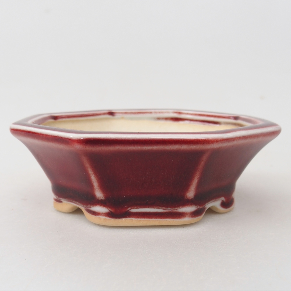 Mini bol bonsaï 11 x 10 x 3,5 cm, couleur rouge