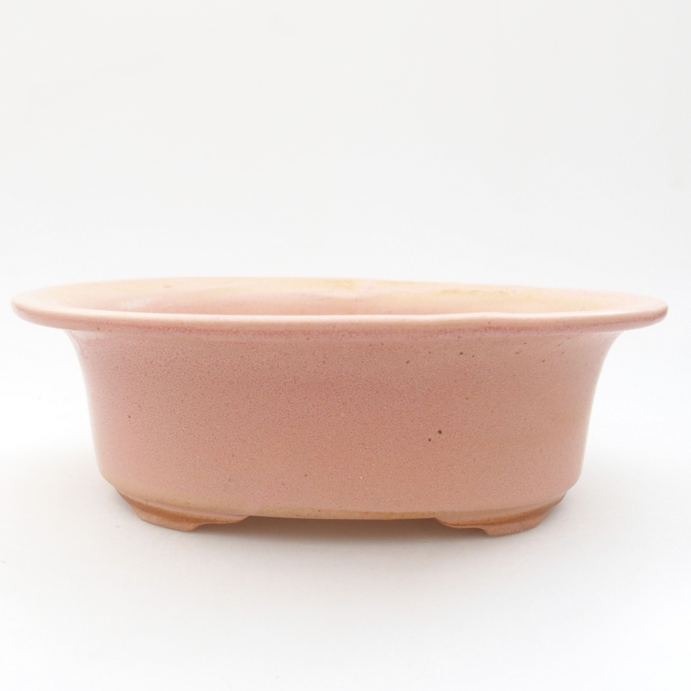 Bol à bonsaï en céramique 22 x 17 x 5 cm, vert