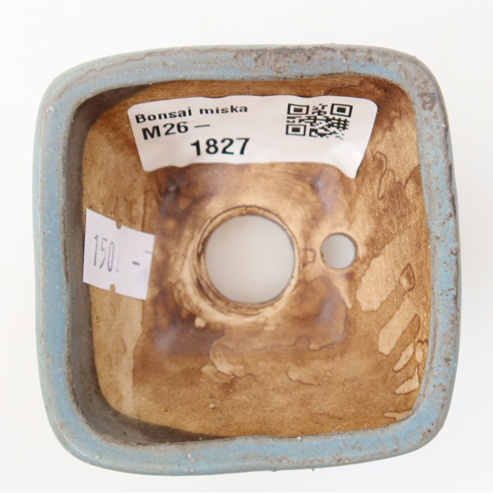 Pot à bonsaï en céramique 6 x 6 x 4 cm, couleur bleue