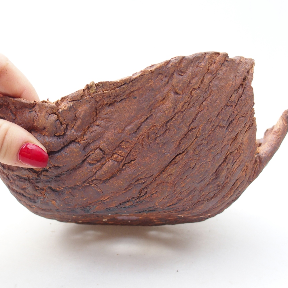 Coquille en céramique 20 x 20 x 8 cm , couleur marron