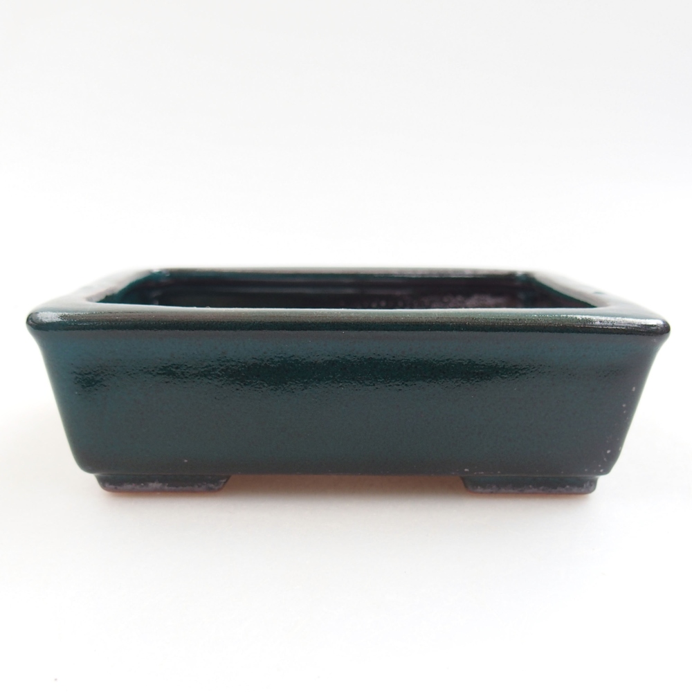 Bol à bonsaï en céramique 22 x 17 x 5 cm, vert