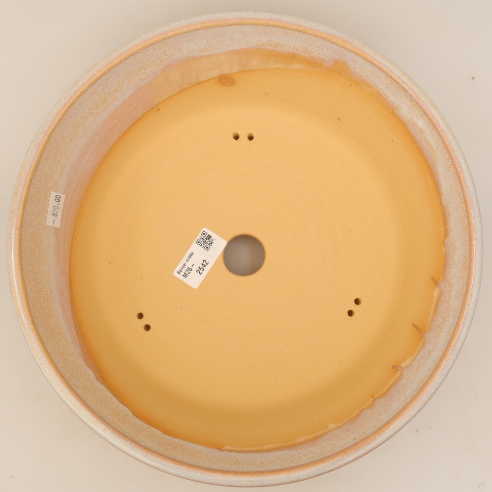 Pot à bonsaï en céramique 29,5 x 29,5 x 8 cm, couleur beige