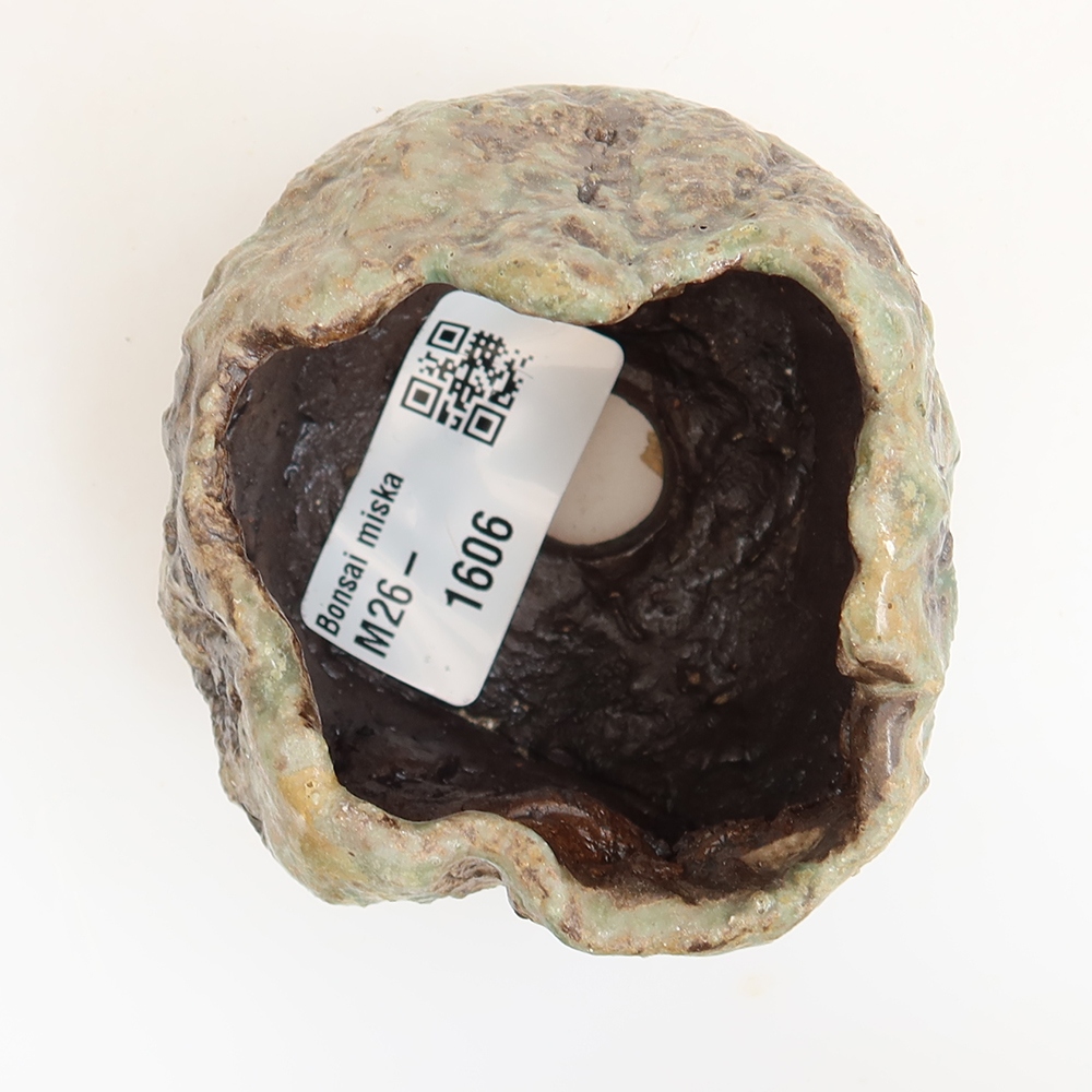 Coquille en céramique  5,5 x 5,5 x 5,5 cm , couleur verte