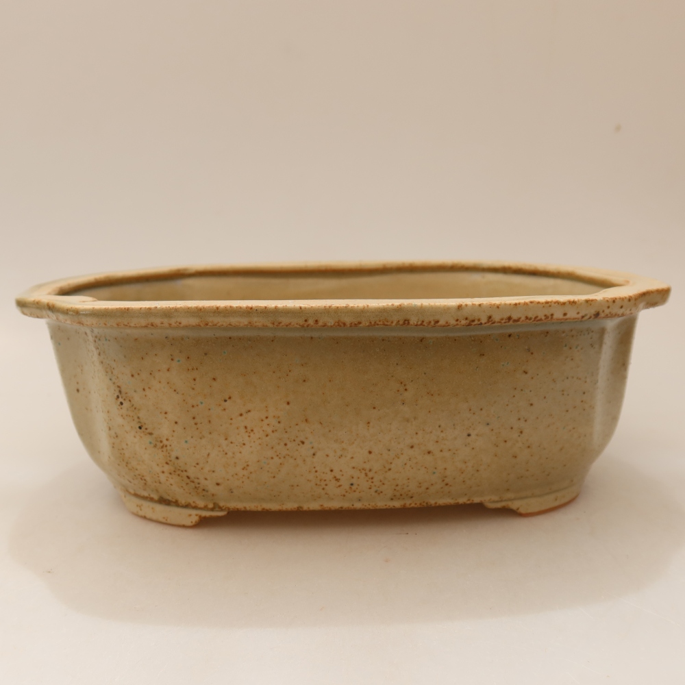 Bol à bonsaï en céramique 23 x 19 x 7 cm, brun