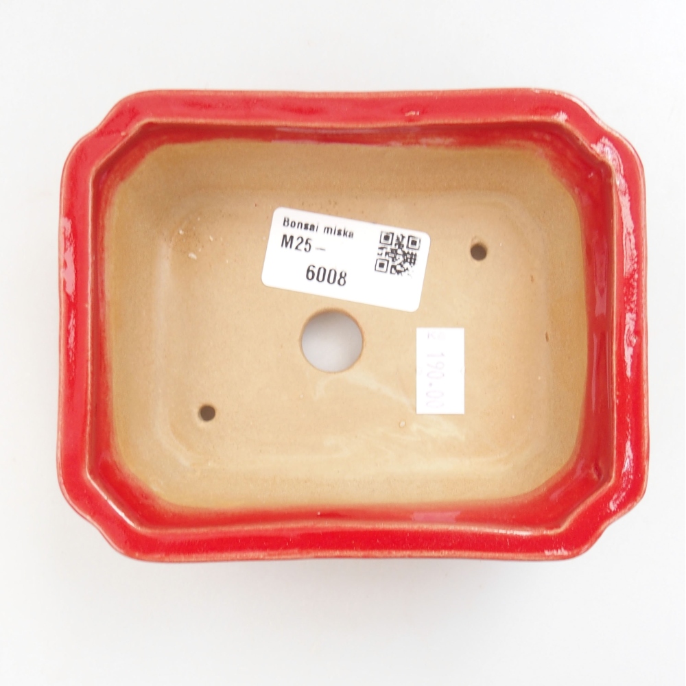 Bol à bonsaï en céramique 22 x 17 x 5 cm, vert