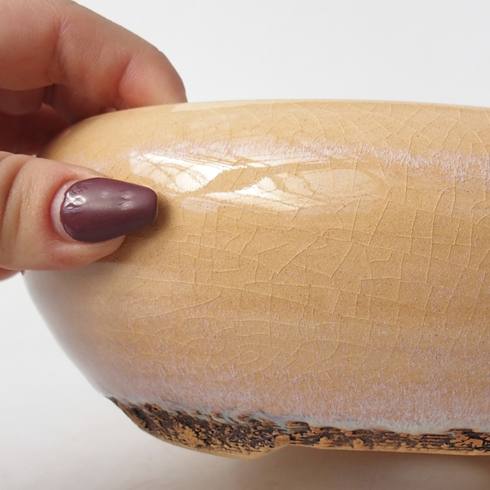 Bol à bonsaï en céramique 18 x 18 x 6 cm, couleur beige