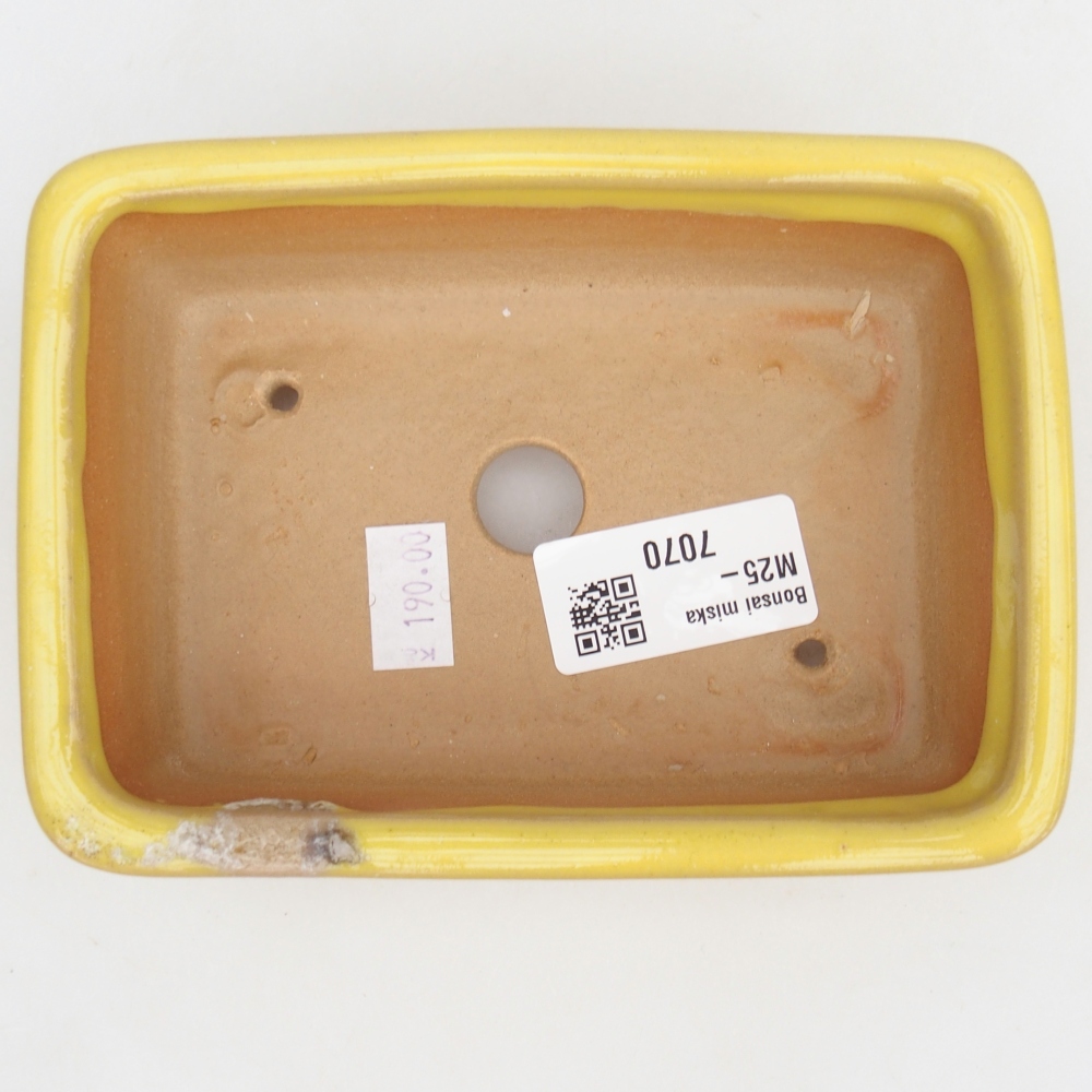 Bol à bonsaï en céramique 13,5 x 10 x 4,5 cm, jaune