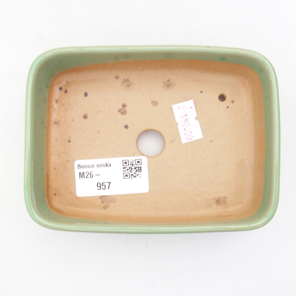 Bol à bonsaï en céramique 12,5 x 9 x 3,5 cm, vert