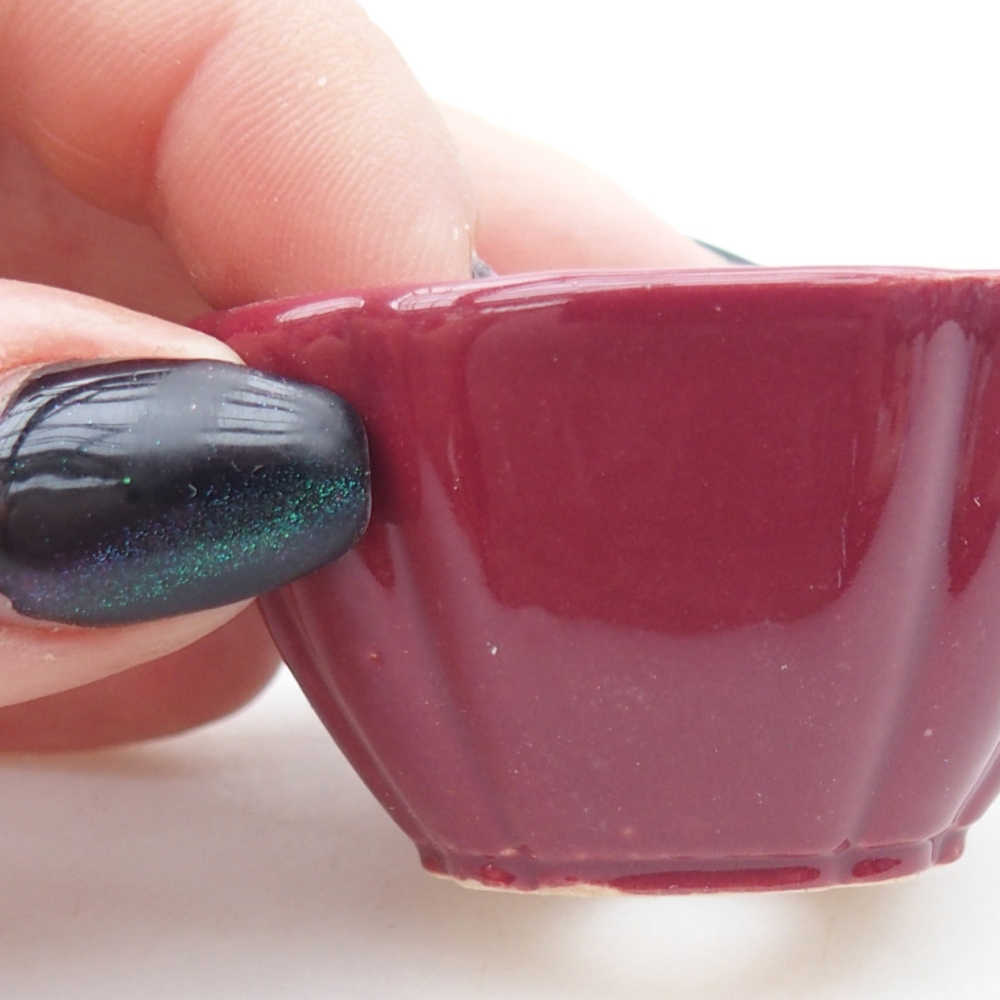 Mini bol bonsaï 4,5 x 4,5 x 2,5 cm, bordeaux