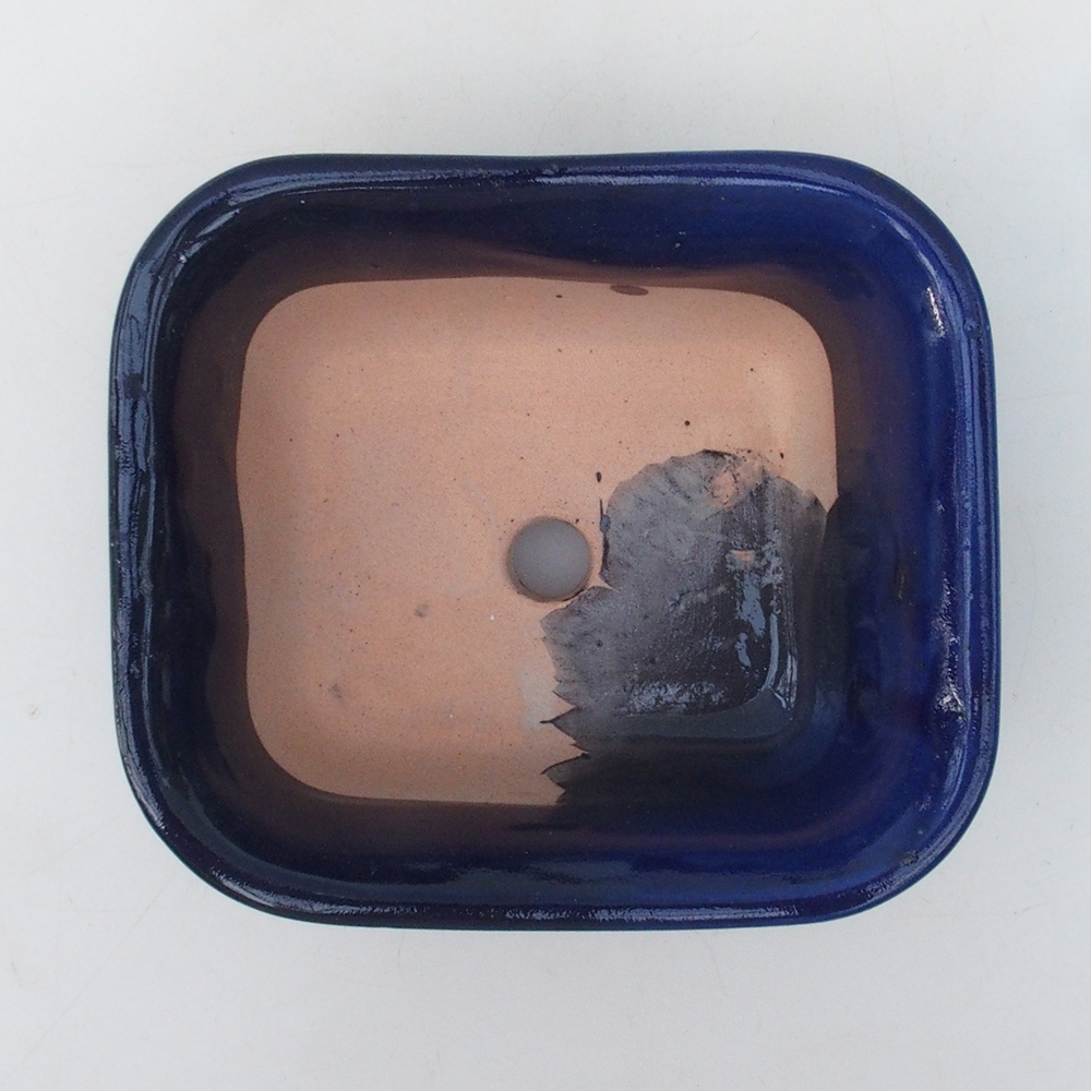 Coupe bonsaï H37 - 14,5 x 13 x 6,5 cm - bleu