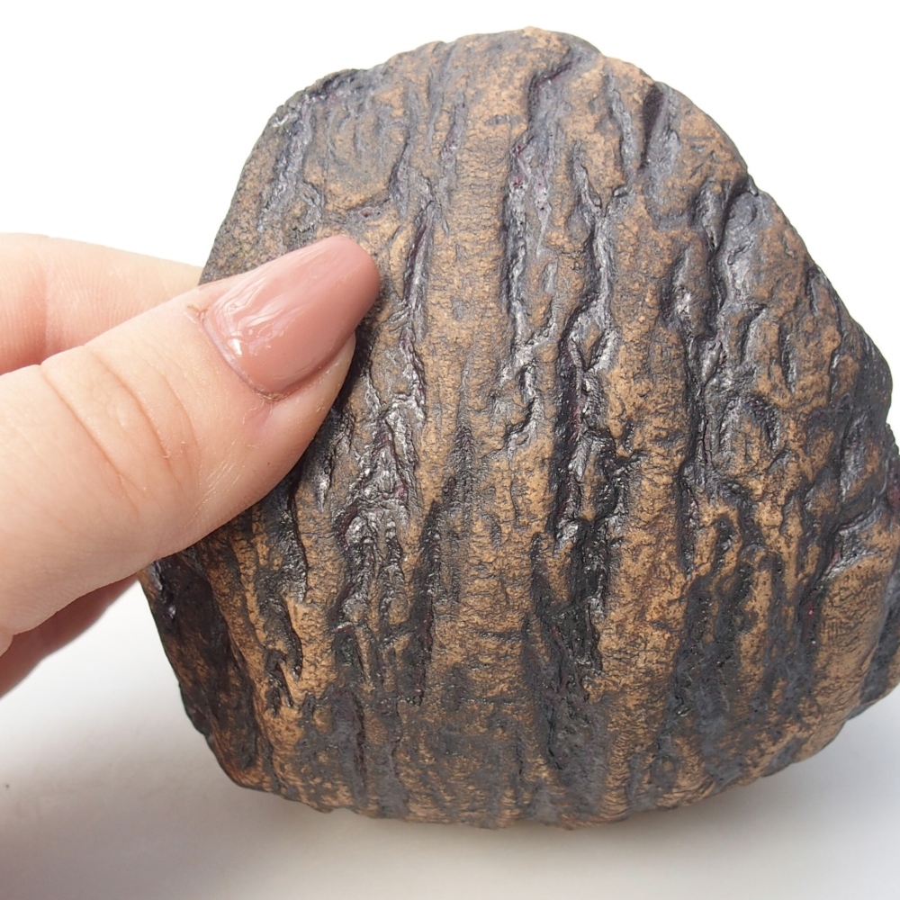 Coquille en céramique 10 x 9 x 10 cm , couleur marron